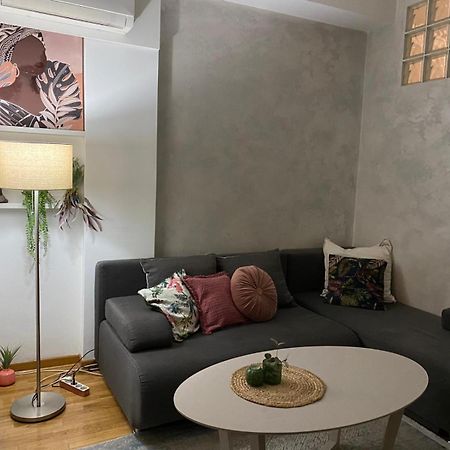Apartman Bella Novi Beograd Bezanija 외부 사진